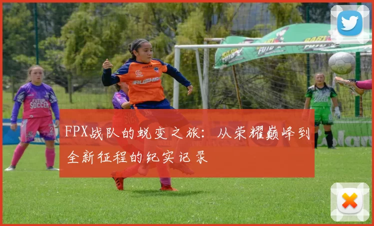 FPX战队的蜕变之旅:从荣耀巅峰到全新征程的纪实记录