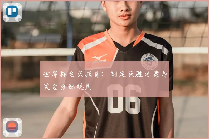 世界杯合买指南:制定获胜方案与奖金分配规则