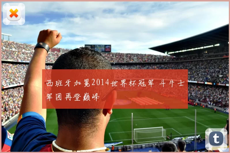 西班牙加冕2014世界杯冠军 斗牛士军团再登巅峰