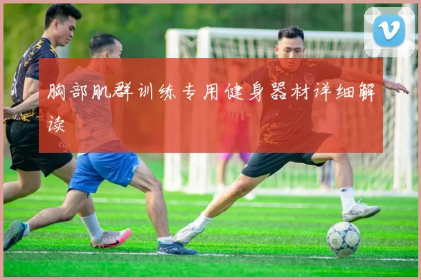 胸部肌群训练专用健身器材详细解读
