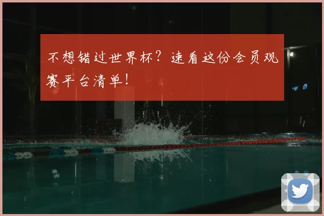 不想错过世界杯?速看这份会员观赛平台清单!