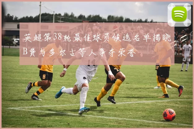 英超第38轮最佳球员候选名单揭晓B费与多尔古等人争夺荣誉
