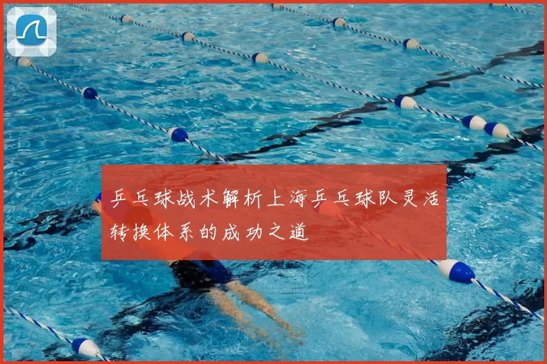 乒乓球战术解析上海乒乓球队灵活转换体系的成功之道