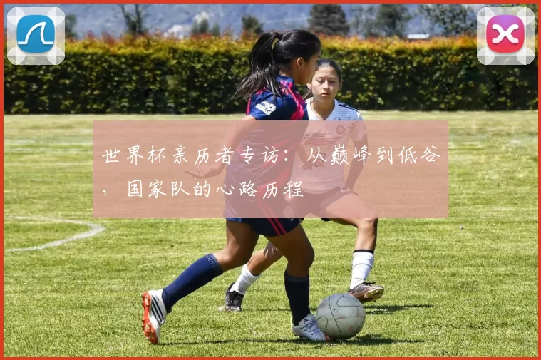 世界杯亲历者专访:从巅峰到低谷,国家队的心路历程