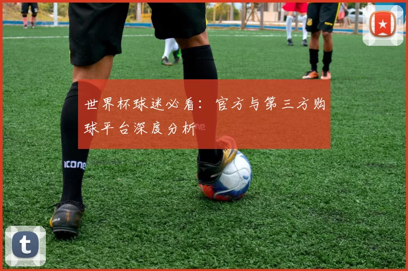 世界杯球迷必看:官方与第三方购球平台深度分析