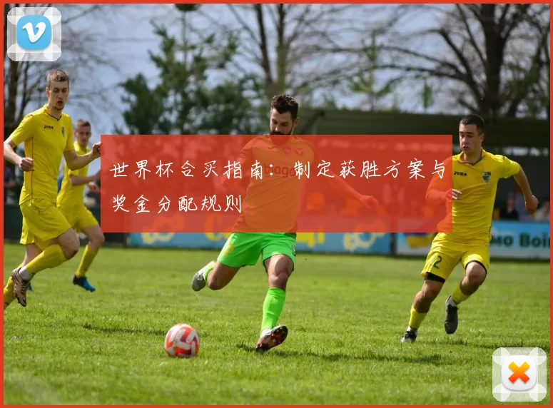 世界杯合买指南:制定获胜方案与奖金分配规则